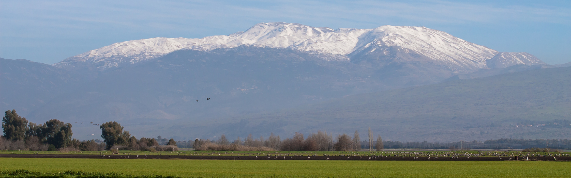 A Hotel Near Mount Hermon: The Complete Guide to Attractions, Viewpoints, and Accommodation (Along Route 99)