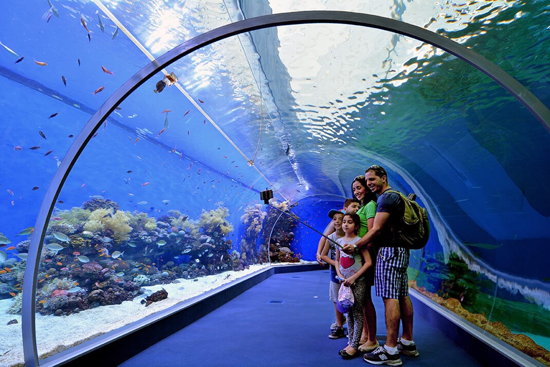 Coral World Underwater Observatory, Eilat