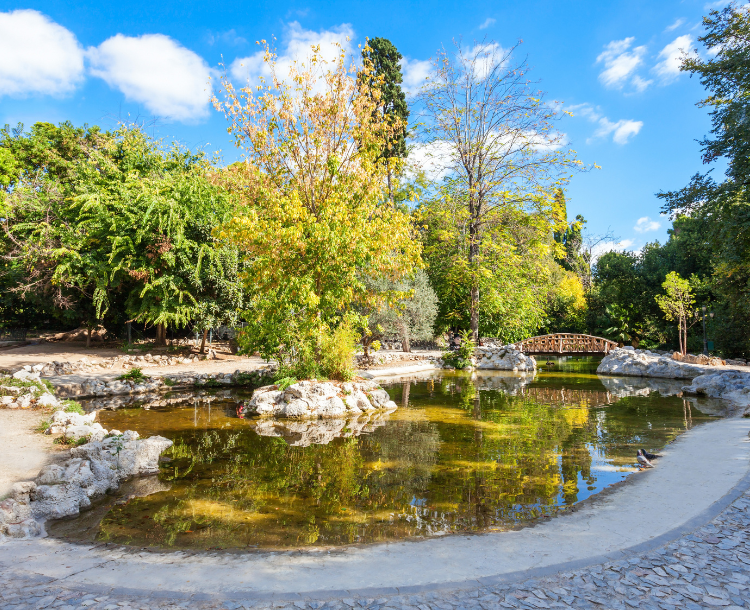 The National Gardens of Athens