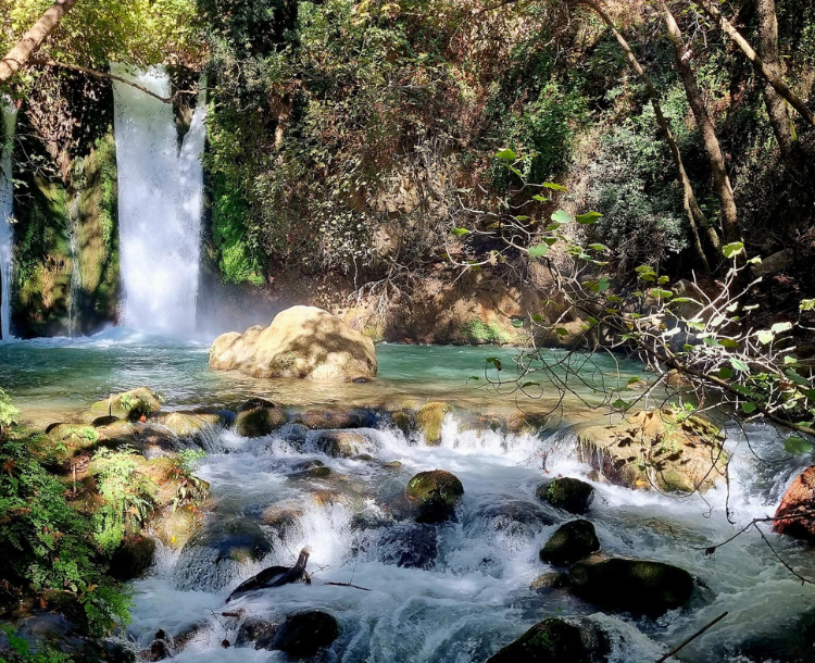 Banias (Hermon Stream) &amp; Waterfall