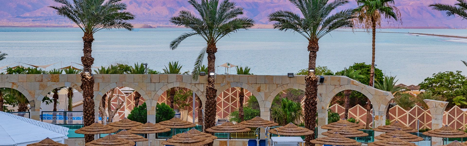 Brown Dead Sea Hotel