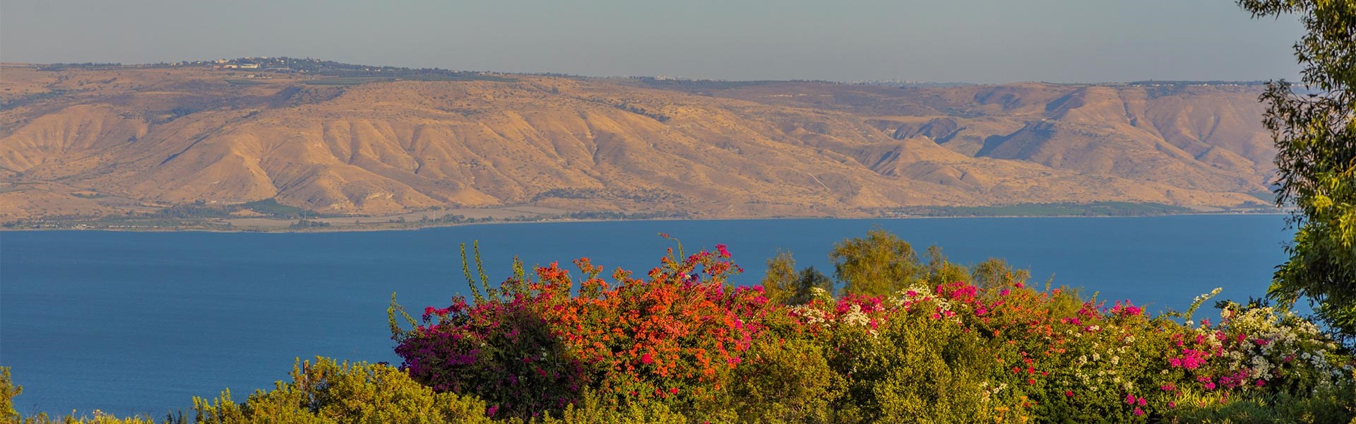 Vered Hagalil Guest Farm - Local Experience