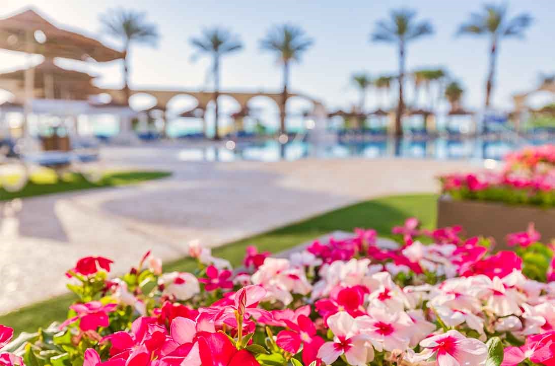 Enjoy Dead Sea Hotel 