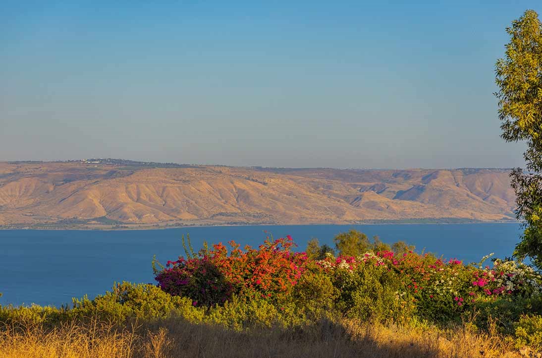 Vered Hagalil guest farm