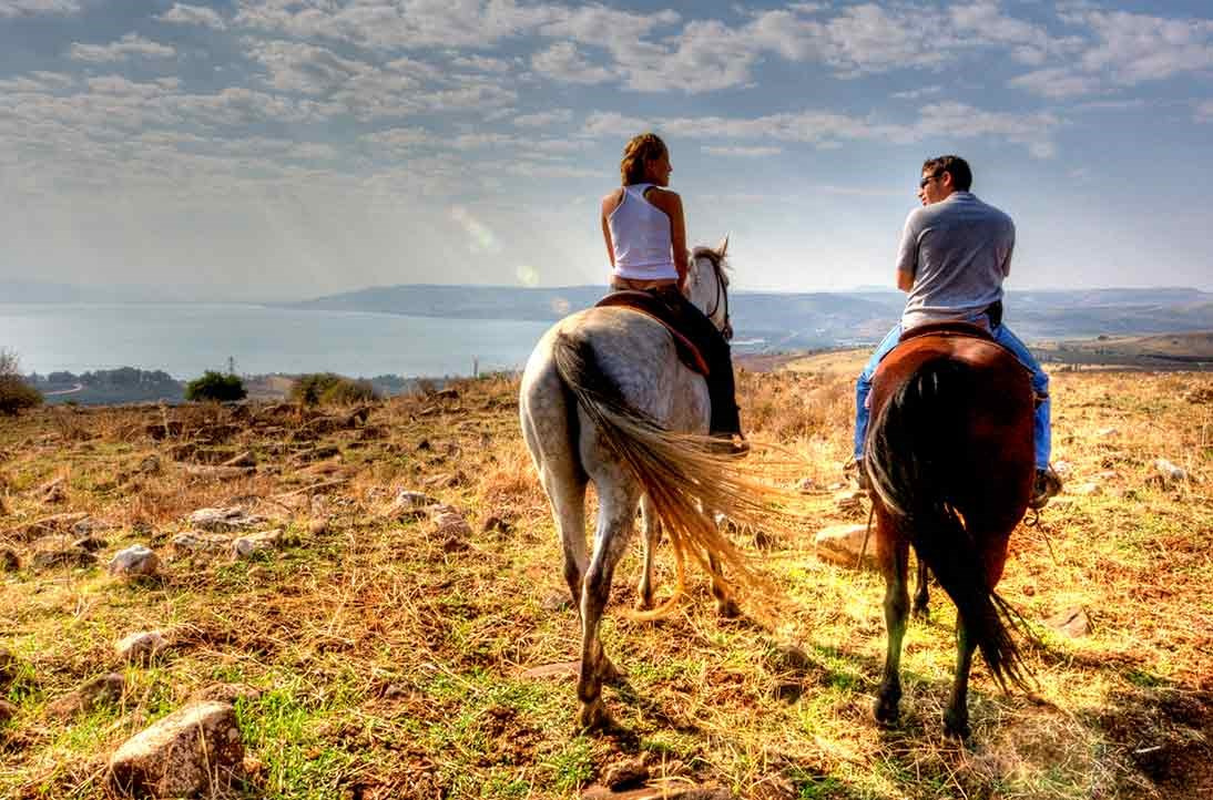 Vered Hagalil Guest Farm