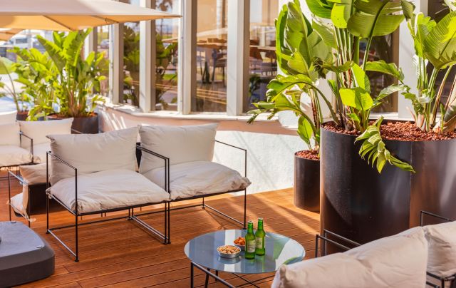 Brown Brut Tel Aviv ⭐️ Hotels in Tel Aviv near the beach